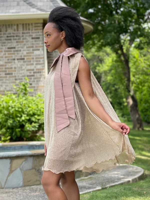 Referral Discount Embroidered Silk Bow Chiffon Dress
